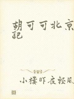 胡可可北京成功记