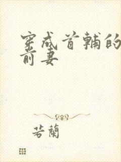 穿成首辅的炮灰前妻