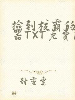 捡到校霸的遥控器TXT免费阅读