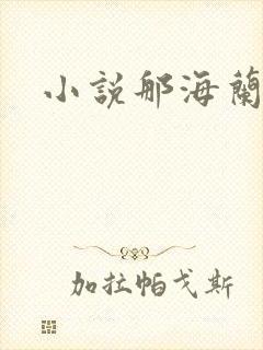 小说那海兰珠