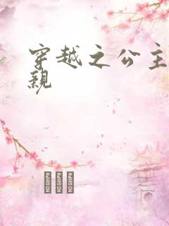 穿越之公主要娶亲