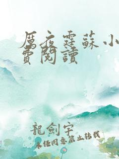 厉夜霆苏小汐免费阅读