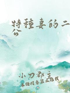 特种妻的二手老公