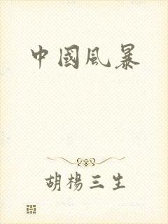 中国风暴