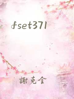 fset371