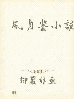 风月鉴小说论坛
