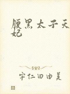 腹黑太子天降萌妃