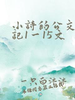 小诗的公交车日记1一15文
