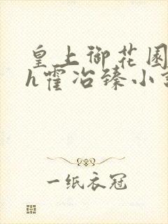 皇上御花园hlh霍冶臻小说