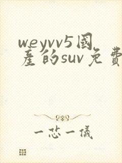 weyvv5国产的suv免费