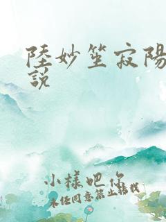 陆妙笙寂阳朔小说