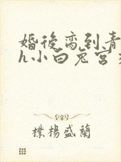 婚后脔到青梅哭h小白兔宫交h