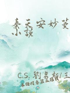 秦天安妙菱修仙小说