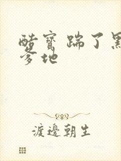 酷宝 踹了黑道爹地