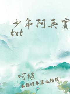 少年阿兵宾小说txt