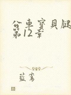 公车宝贝腿开点第12章