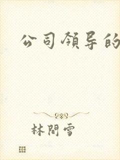 公司领导的老婆