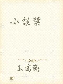小说禁