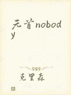 元首nobody