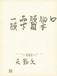 一面膜胸口一面膜下日本