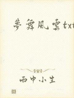梦舞风云txt