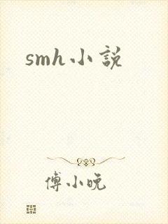 smh小说