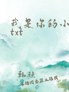 我是你的小小狗txt