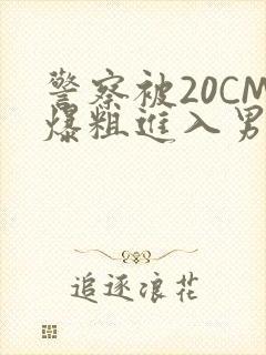 警察被20CM爆粗进入男男软件