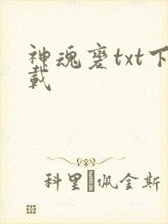 神魂变txt下载