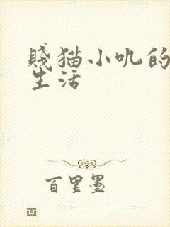 贱猫小叽的幸福生活