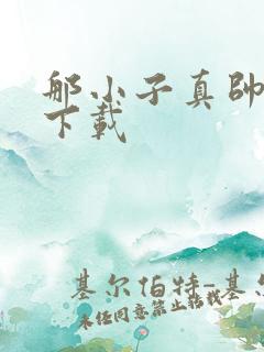 那小子真帅小说下载