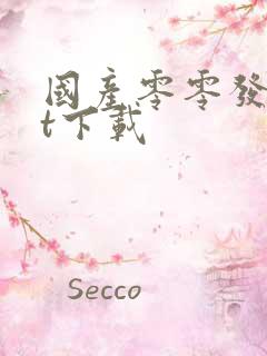 国产零零发txt下载