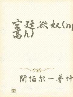 宫廷欲奴(np高h)