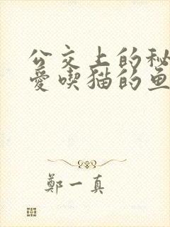 公交上的秘密 爱吃猫的鱼