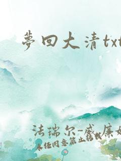 梦回大清txt