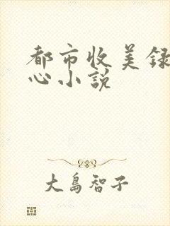 都市收美录宁素心小说