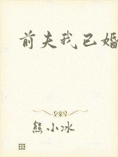 前夫我已婚
