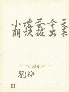 小坏蛋今天危险期快拔出来