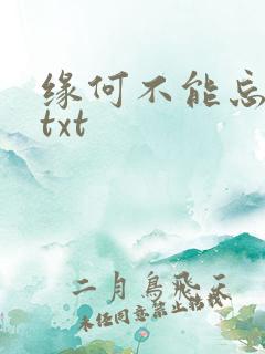 缘何不能忘记你txt