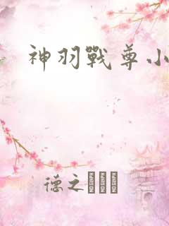 神羽战尊小说