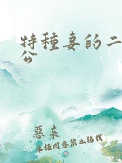 特种妻的二手老公
