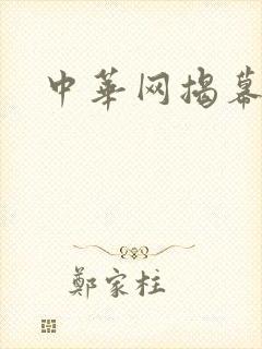 中华网揭幕内参