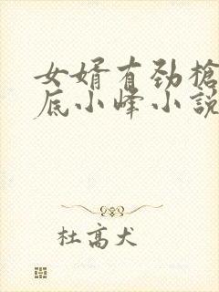 女婿有劲枪枪到底小峰小说