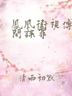 凤凰卫视傅晓甜间谍罪