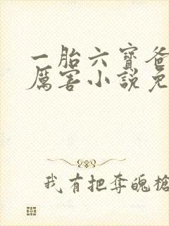 一胎六宝爸比好厉害小说免费阅读