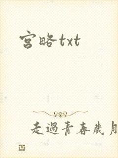 宫略txt