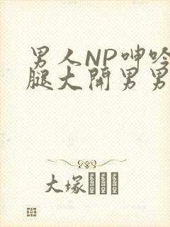 男人NP呻吟双腿大开男男小说