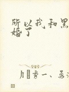 所以我和黑粉结婚了