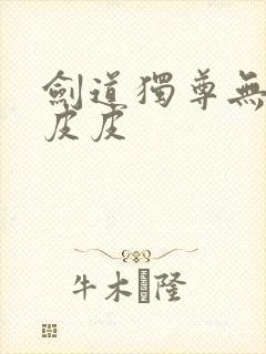 剑道独尊无弹窗皮皮