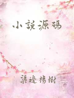 小说源码
